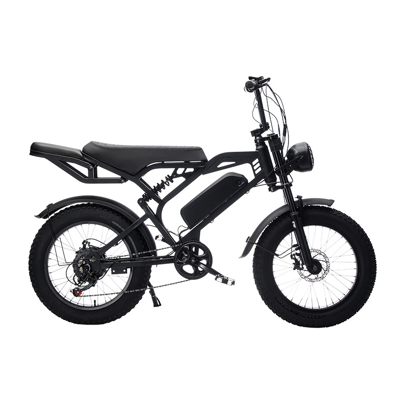 Electric Mountain Bike